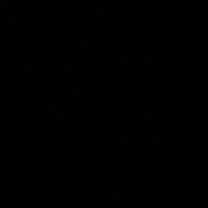 Meet your Posher, Everett